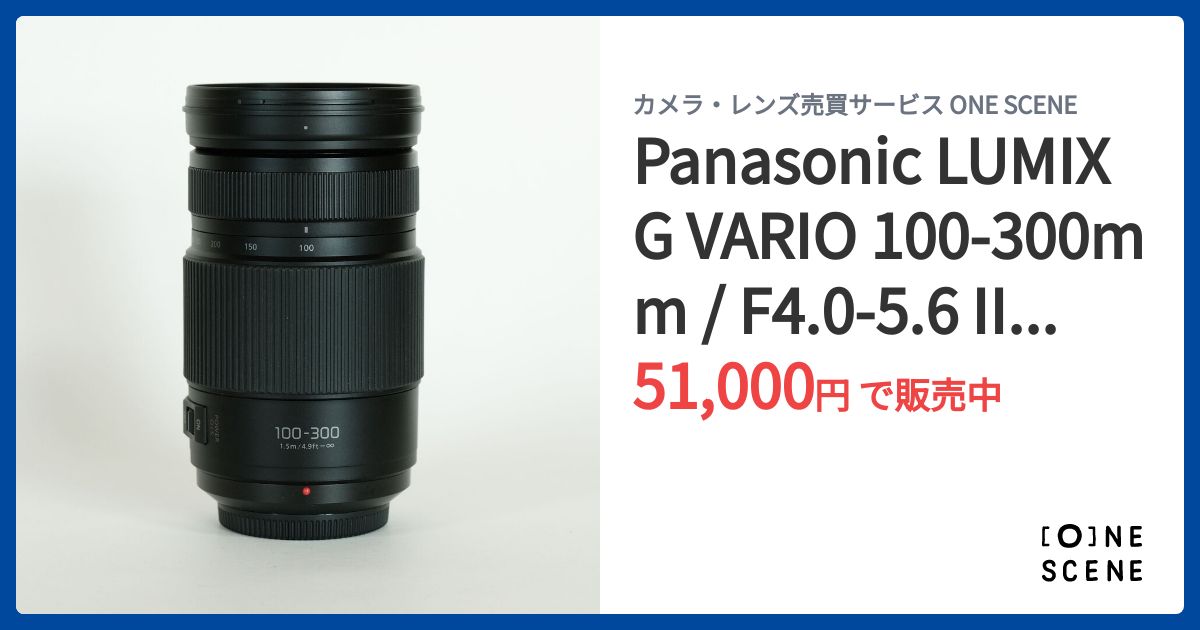 Panasonic LUMIX G VARIO 100-300mm / F4.0-5.6 II / POWER O.I.S.の