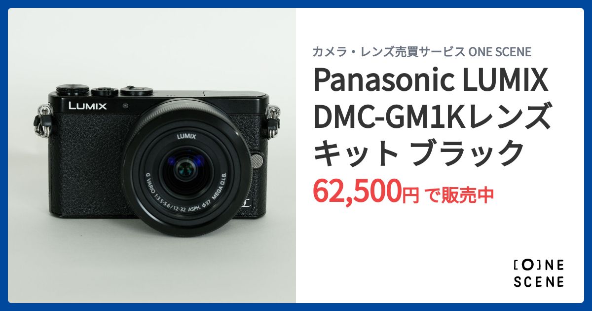 Panasonic LUMIX DMC-GM1Kレンズキット ブラックの出品 | ONE SCENE 