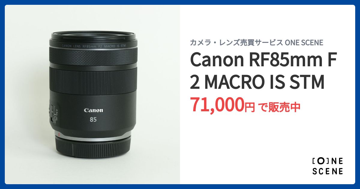 レンズ(単焦点) RF85 F2 MACRO IS STM CANON RF 85MM F:2 IS STM MACRO LENS : Amazon.com.tr: Elektronik