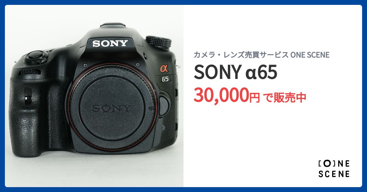 SONY α65 デジタル一眼レフ 本体と付属品 α65 主な仕様 | デジタル一眼カメラα（アルファ） | ソニー