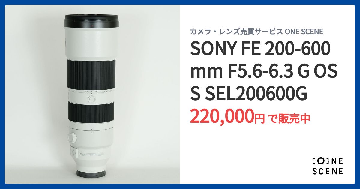 SONY FE200-600 5.6-6.3 G OSS レンズフィルター付き 実写レビュー！SONY FE 200-600mm F5.6-6.3 G OSS SEL200600Gで