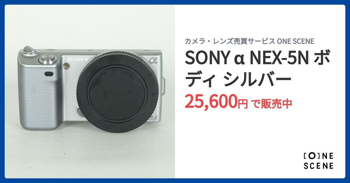 SONY α NEX-5N ボディ シルバーの出品 | ONE SCENE（ワンシーン）