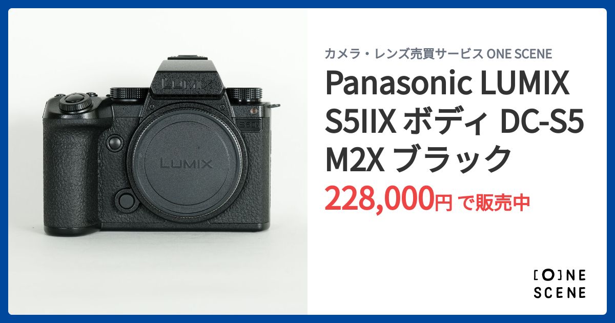 Panasonic LUMIX S5IIX ボディ DC-S5M2X ブラック Panasonic S52X Lumix S5IIX Mirrorless Camera DC-S5M2XBODY