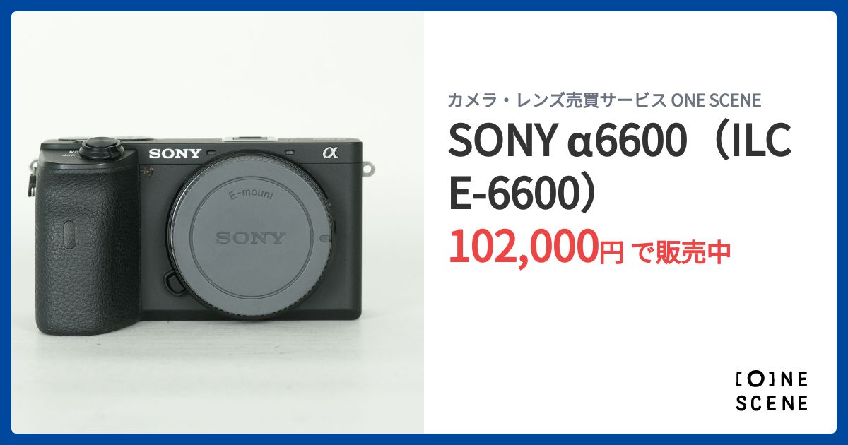 SONY α6600（ILCE-6600）の出品 | ONE SCENE（ワンシーン）