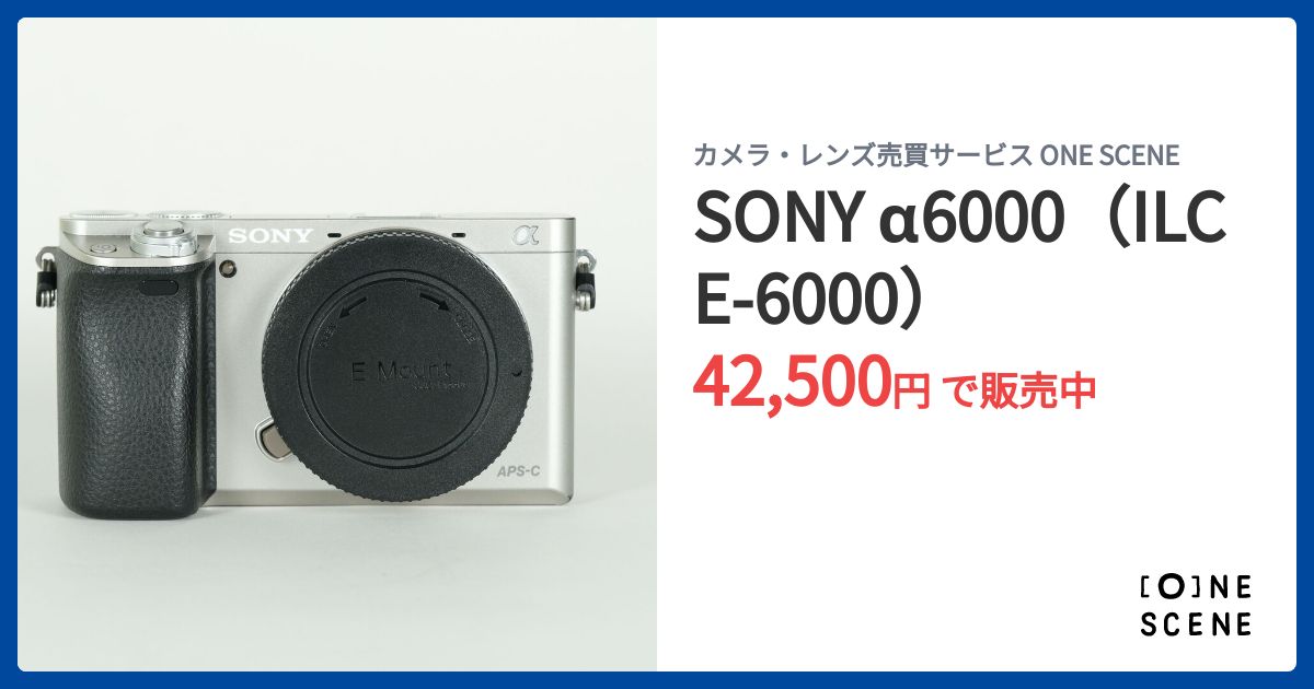 SONY α6000（ILCE-6000）の出品 | ONE SCENE（ワンシーン）