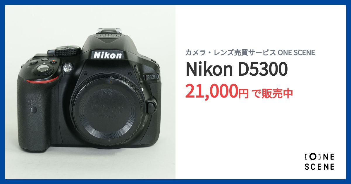 Nikon D5300 【値下げ中】 【公式通販】