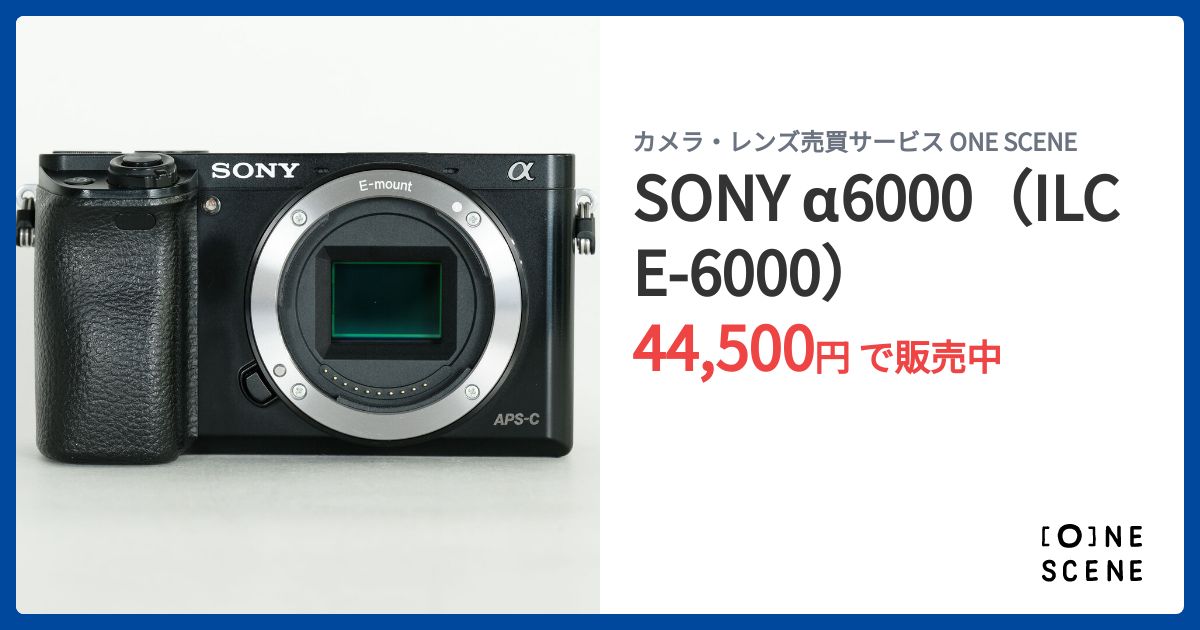SONY α6000（ILCE-6000）の出品 | ONE SCENE（ワンシーン）