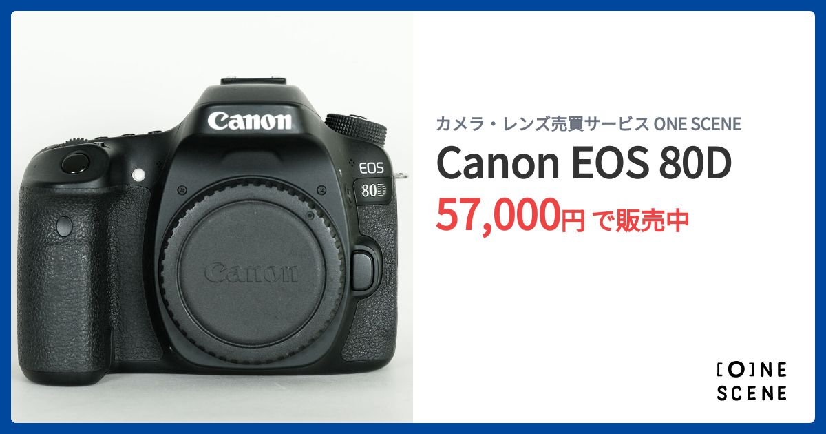 Canon EOS 80D シャッター回数7079(7%) #FK01 Canon EOS 80D シャッター回数7079(7%) #FK01 Canon機ユーザー